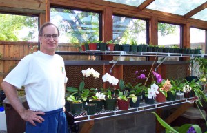 My greenhouse in 2000, after rebuilding it and making it larger