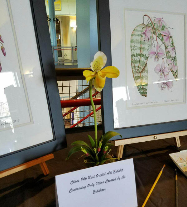 2017 Shreveport Louisiana Orchid Show Art Entry Winner