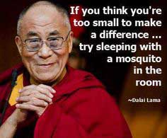 Dalai Lama quote