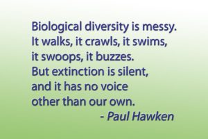 Extinction - Paul Hawken quote