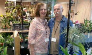 Karlene and Mark Sanborn, Prairie Orchids, Kansas City