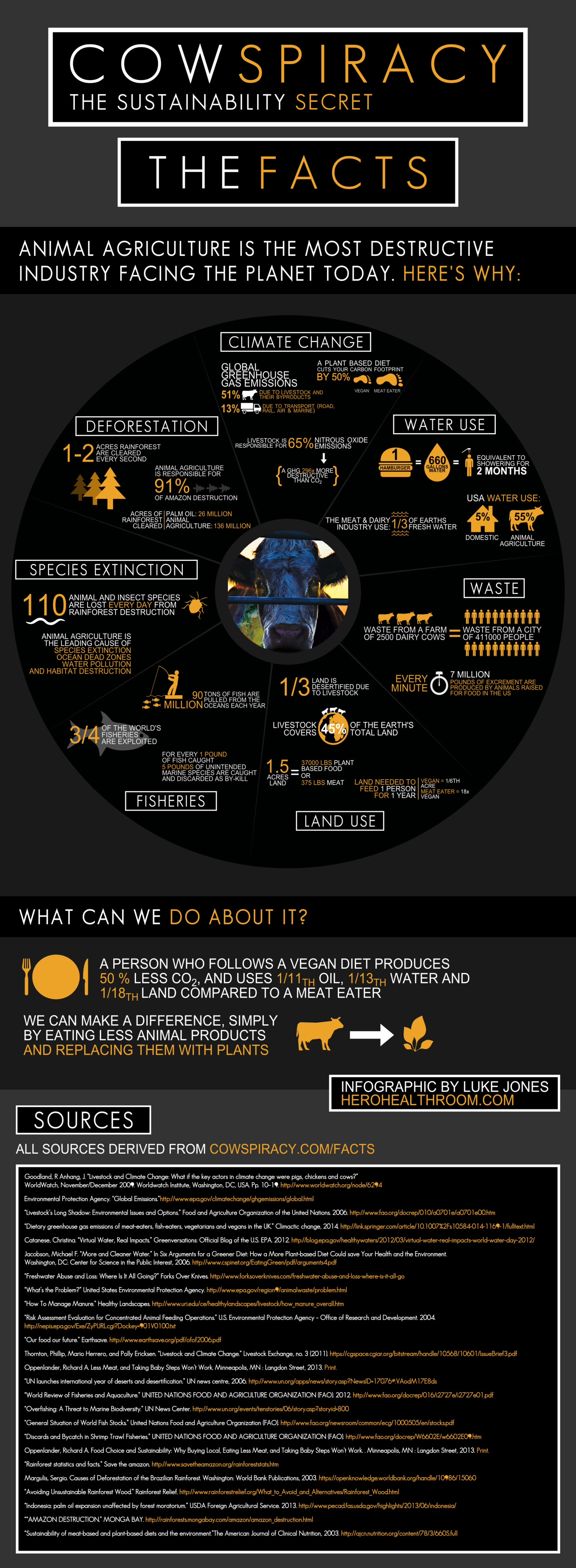 Sustainability through vegan diet