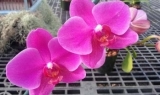 20140620_173355