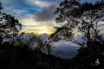 Serra Bonita REserve (Brazil)