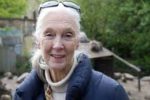 Jane Goodall