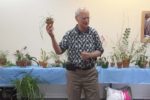 2016 July GNTOS Orchid Auction