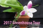 2017 Greenhouse Tour