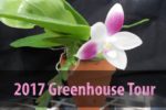 2017 Greenhouse Tour
