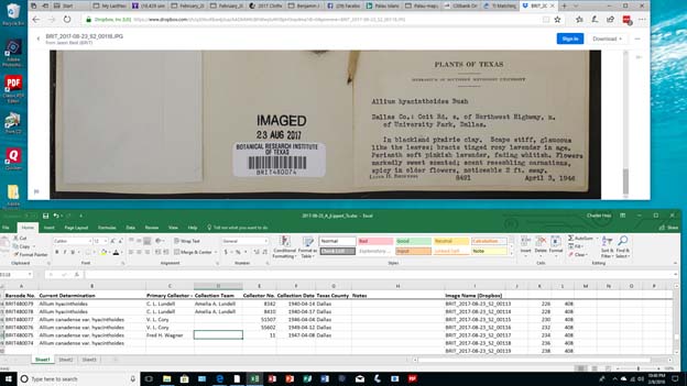BRIT cataloging project