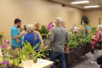 2018 GNTOS Orchid Show & Sale