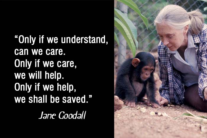 Jane Goodall