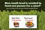 How much land feeds one person