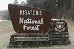 Kisatchie Forest